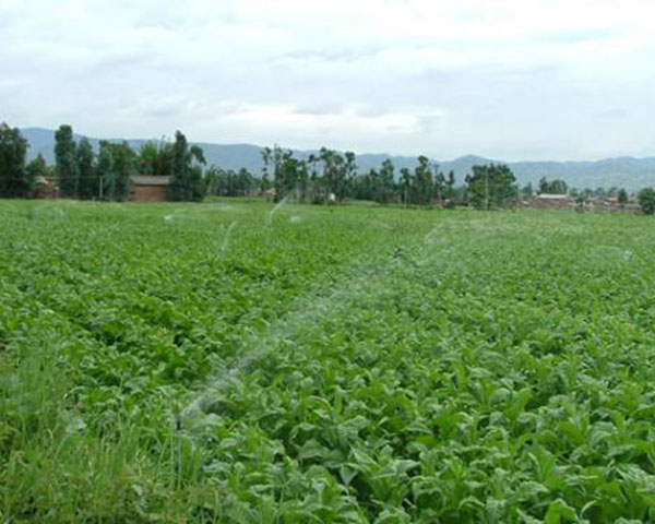 阿里自动化灌溉