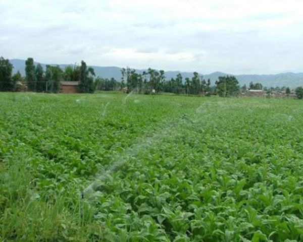 阿勒泰自动化灌溉